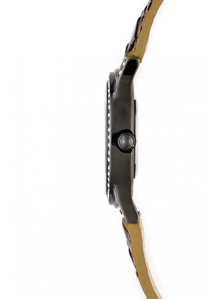 Auralia titan - brown reptile - change